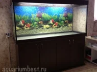 Магазин аквариумов АквариумБест Фото 1 на сайте Moetushino.ru