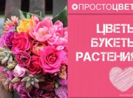 Магазин Простоцветы в проезде Стратонавтов Фото 1 на сайте Moetushino.ru
