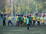 Детская футбольная школа Перовец на улице Свободы Фото 2 на сайте Moetushino.ru