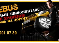 Компания Tirebus Фото 7 на сайте Moetushino.ru
