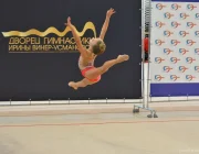 Международная академия спорта Ирины Винер Фото 2 на сайте Moetushino.ru