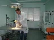 Ветеринарная клиника Здоровый мир Фото 6 на сайте Moetushino.ru