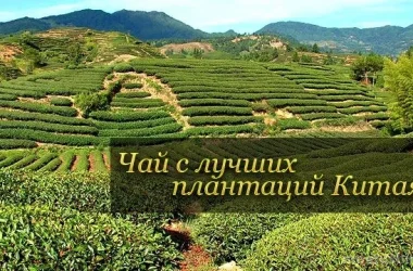 Интернет-магазин чая High-tea  на сайте Moetushino.ru