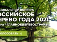 Компания Здоровый лес Фото 3 на сайте Moetushino.ru