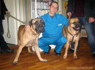 Ветеринарная клиника доктора Герстендорфа  на сайте Moetushino.ru