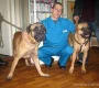 Ветеринарная клиника доктора Герстендорфа  на сайте Moetushino.ru