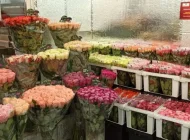 Цветочный супермаркет Цветочный ряд на Сходненской улице Фото 8 на сайте Moetushino.ru