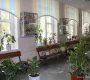 Общеобразовательная школа №1286 Фото 2 на сайте Moetushino.ru