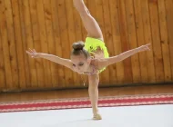 Центр художественной гимнастики Звёздочка Фото 3 на сайте Moetushino.ru