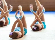 Школа гимнастики Анлер  на сайте Moetushino.ru