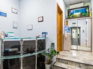 Стоматологическая клиника Вениана на улице Героев Панфиловцев Фото 4 на сайте Moetushino.ru