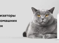 Интернет-магазин нейтрализаторов запаха Helmetex Фото 3 на сайте Moetushino.ru