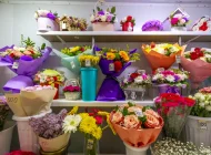 Цветочный магазин Тюльпан Фото 12 на сайте Moetushino.ru