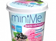 Киоск по продаже мороженого Айсберри Фото 4 на сайте Moetushino.ru